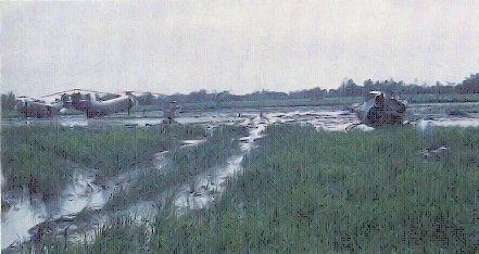 Battlefield_at_Ap_Bac.jpg.ed8b32a2bc7703c7bf48c7483040520f.jpg